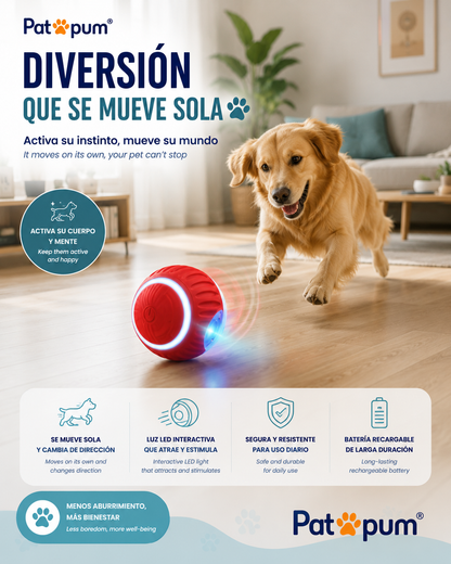 Pelota Interactiva