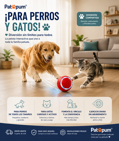 Pelota Interactiva